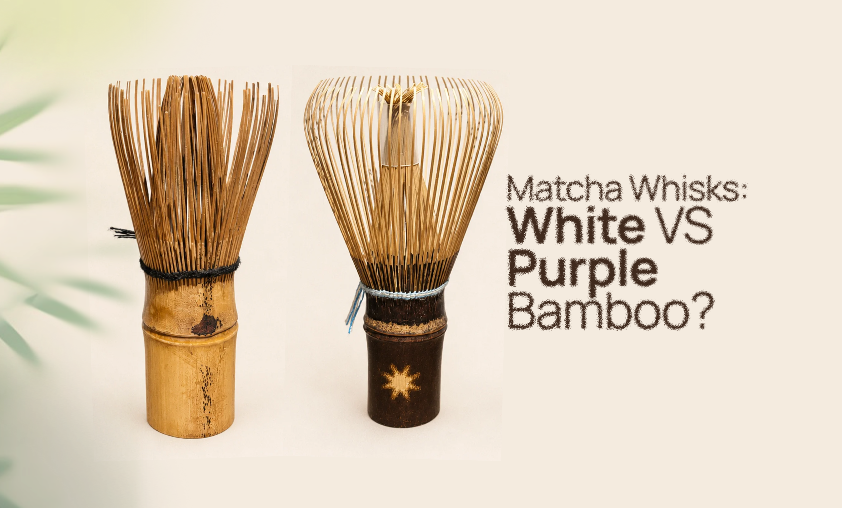 Why purple bamboo makes a longer-lasting matcha whisk
